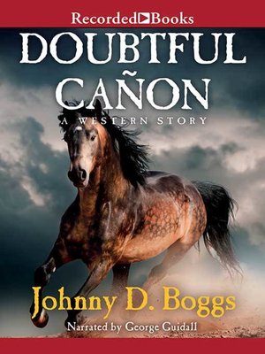 cover image of Doubtful Canon